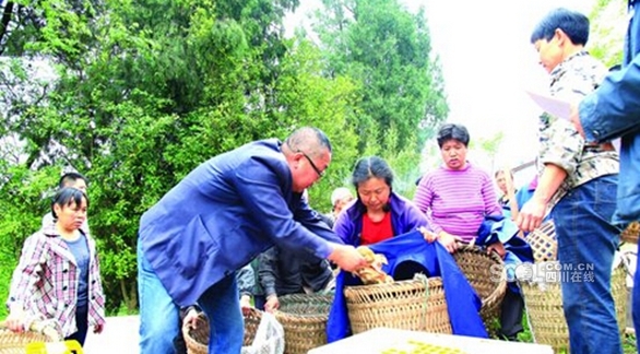 �����������в�ҵ��ƶ������Ѫʽ����� �������ճ�6000Ԫ